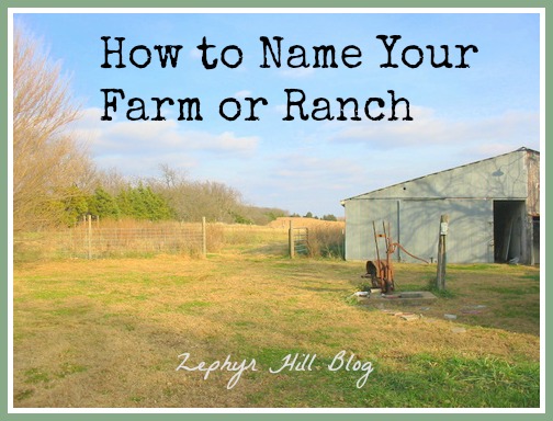 What are some ideas for ranch names?