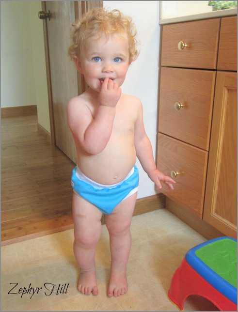 Top 5 Potty Training Mistakes To Avoid Zephyr