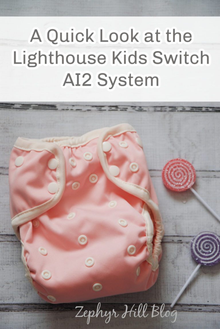 A Quick Look at the Lighthouse Kids Switch AI2 System